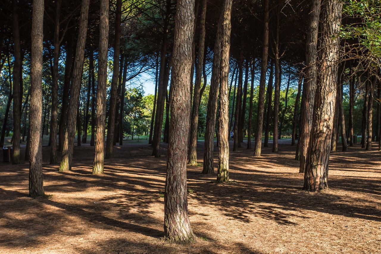 Hotel Garden Milano Marittima Eksteriør bilde